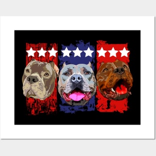 American bully my breed Posters and Art